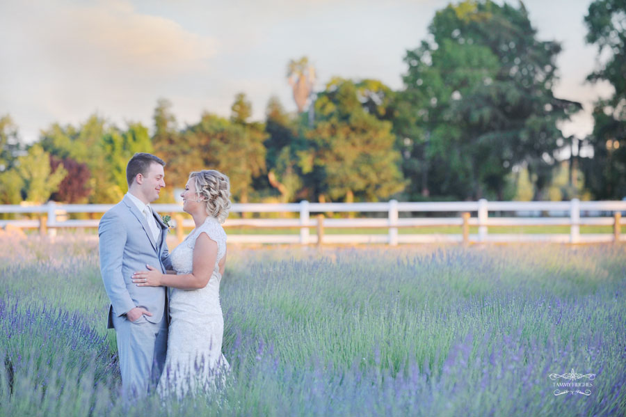 Tammy Hughes Modesto Wedding Photographer Pageo Lavender Farm