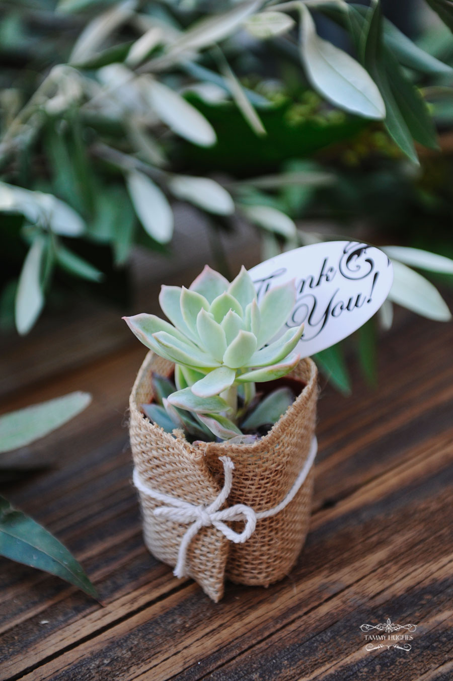 Tammy Hughes Modesto Wedding Photographer Pageo Lavender Farm