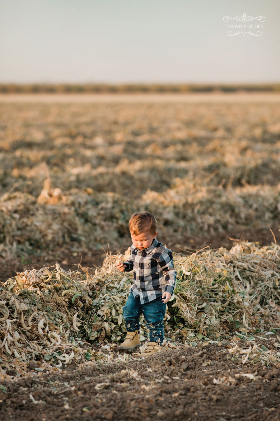 Tammy Hughes Photography 2020 family portraits