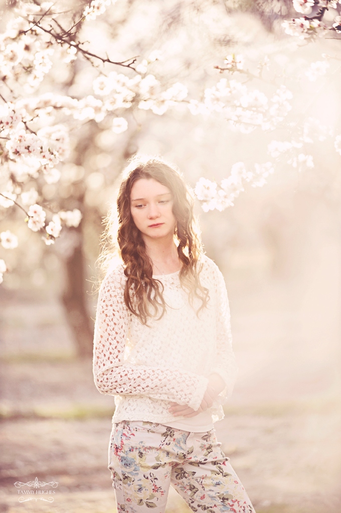 2014-portrait-almond-blossoms