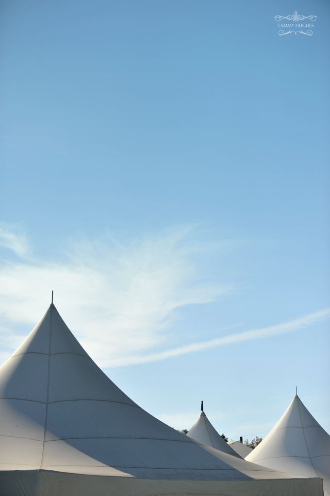 The tent at Vintage Gardens